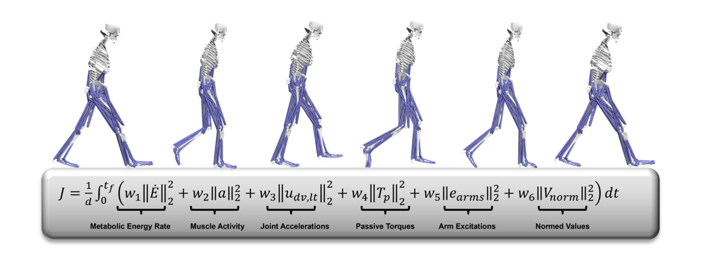 patient specific modeling