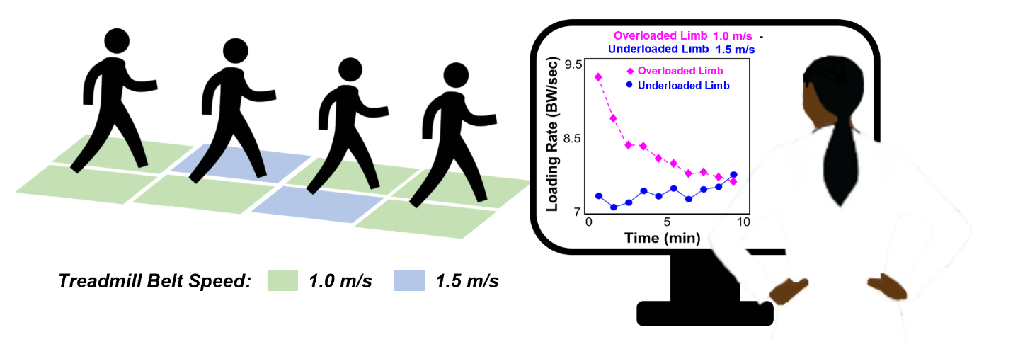 dotted graph with people walking